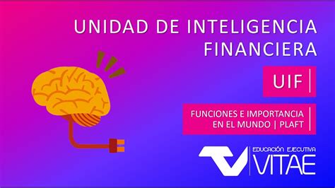 Unidad De Inteligencia Financiera Uif Youtube