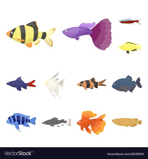 Different Types Of Fish Cartoon Icons In Set Vector Image