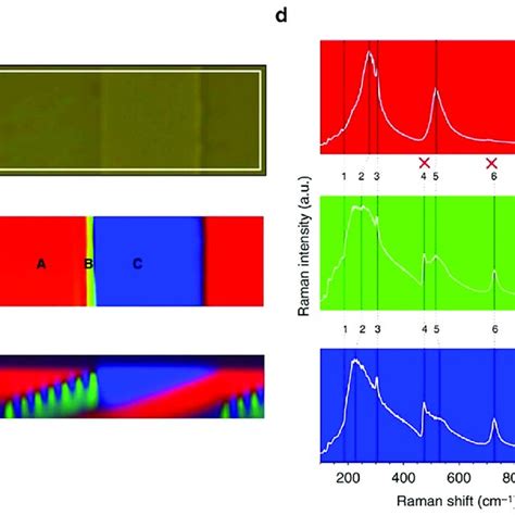 Mapping Of The Domain Structure In BaTiO 3 BTO Single Crystal Through