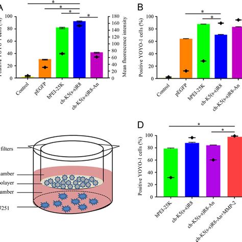 Cellular Uptake Analysis Of Micelles PEGFP YOYO 1 Using CLSM Naked