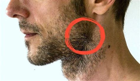 7 Ways To Manage Beard Cowlicks And Swirls Like A Pro Guide