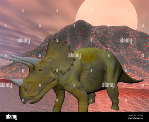 Triceratops An Ancient Jurassic Extinct Reptile Stock Photo Alamy