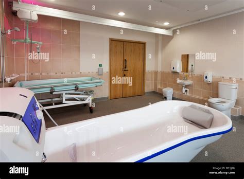 Care Home Assisted Bathroom With Ceiling Track Hoist Lifting Gear And