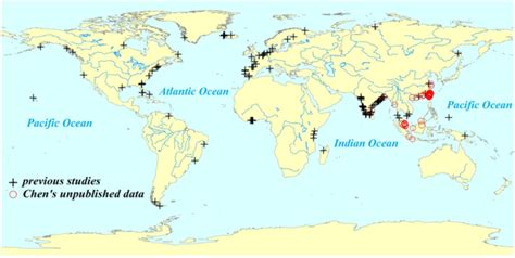 Estuary Biome Map