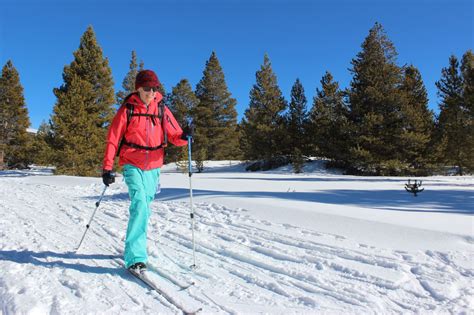 Cross-Country Ski through Leadville's Winter Wonderland - Leadville, Colorado