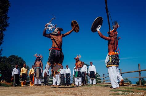 Tari Caci Tarian Para Ksatria Dari Manggarai Flores Selama Ini