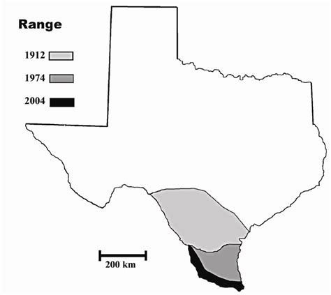 Green Jay range change in Texas, 1912 to 2004 | Download Scientific Diagram