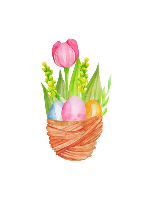 Watercolor Easter Illustration Tulip Eggs Leaves And Flowers In