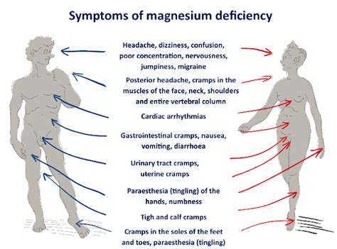 Diabetes Symptoms Low Magnesium Levels Connected - Diabetes Symptoms Reviews