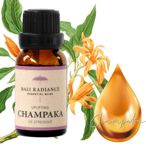 Essential Oils And Essential Oil Blends From Bali Bali Radiance