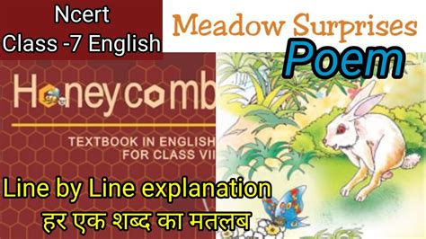 Class 7 English Ncert Poem Meadow Surprises Full Explain