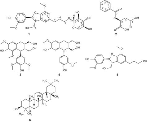 Chemical Structures Of The Isolated Compounds Download Scientific Diagram