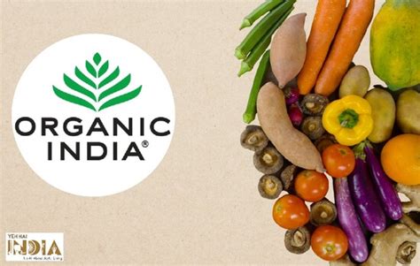 Best Organic Food Brands In India Top Organic Food Company