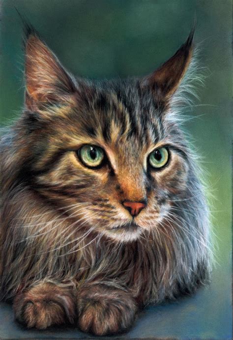 Maine Coon By Keraani On Deviantart