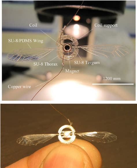 Final prototype (wing span 3.6 cm, mass ∼ 41 mg) integrating two SU-8 ...