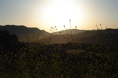 Topanga Canyon