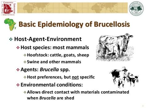 Epidemiology Of Brucellosis In Ruminants The Basics And Dynamics Of