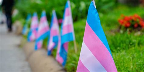 La Asociación Estatal De Profesionales De La Sexología En El Debate Sobre La Ley Trans Viento Sur