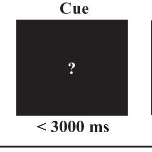 Schematic Illustration Of A Single Trial In The Temporal Reproduction