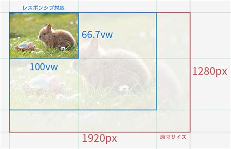 レスポンシブデザインにも対応！縦横比を維持するcss ― コラム ー ベイクロスマーケティング株式会社