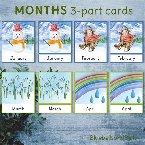 Months Of The Year Montessori Printable Three Part Cards Etsy Ireland