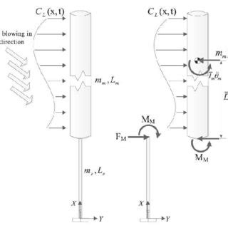 A Schematic Model Of BWT B Free Body Diagram Of BWT 52