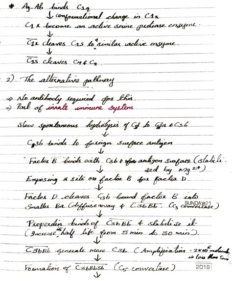 Solution Immunology The Complement System Studypool