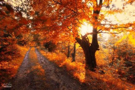 Otoño en el Hemisferio Norte Las Mejores Fotografías del Mundo