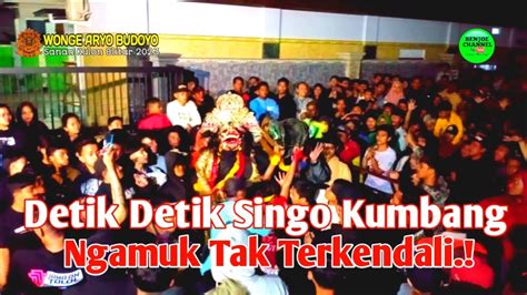 Detik Detik Kucingan Di Kruwes Raine Akirnya Ngamuk Tak Terkendali