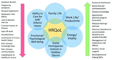 Core Components Of Hrqol With Factors That Augment Hrqol On The Right