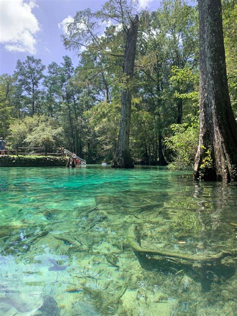 Visiting Ponce De Leon Springs State Park in Florida - The Katherine ...