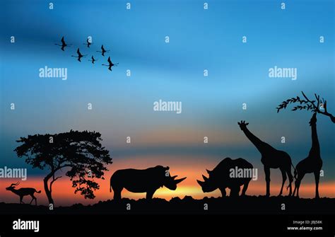 African wildlife sunrise. African safari illustration card Stock Photo ...