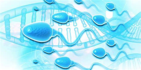 Zesp Duplikacji Chromosomu Q Objawy Badania Centrum