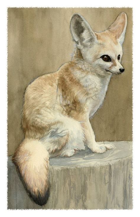 Fennec Fox Study By Deirling On Deviantart Fennec Fox Fox Nursery