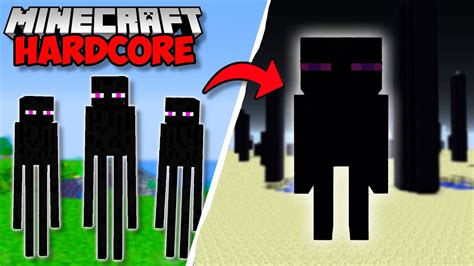 I Built An ENDERMAN FARM In Minecraft 1 19 Hardcore YouTube