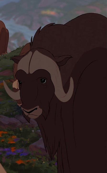 List Of Species Seen In Brother Bear Animals Wiki Fandom