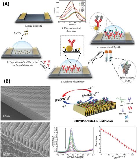 Voltammetric Sensors Based On Au Nanostructures A DPV Sensor For The