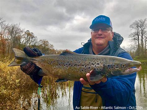 Atlantic Salmon Gallery Streamside Au Sable River Fly Fishing Guides