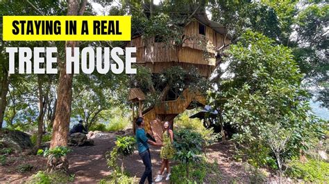 Real TREE HOUSE Experience In Kodaikanal Tamil Nadu Episode 06