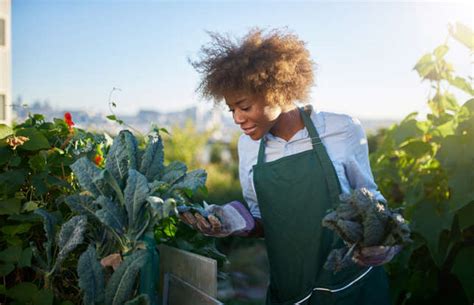 The 50 Most Powerful Superfoods