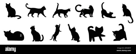 Collection Black Cat Set Black Cat Silhouette Vector Illustration