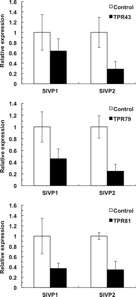 Expression Analysis Of Type I V Ppase Genes Slvp And Slvp In Three