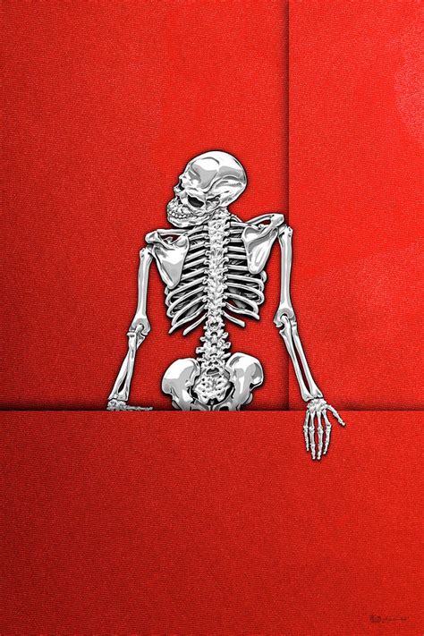 Memento Mori Silver Human Skeleton On Red Canvas Digital Art By Serge