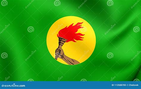 Zaire Flag Stock Illustration | CartoonDealer.com #7697476