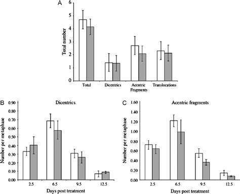 Comparisons Of The Number And Types Of Chromosomal Aberrations Detected Download Scientific