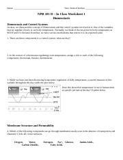 Npb D Worksheet Name Time Date Of Section Npb D In