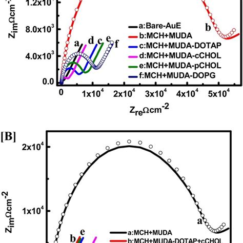 A Eis Behaviours Of Gold Electrode Aue Curve A Modified With Mch Muda