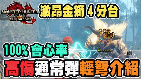 【魔物獵人崛起破曉】打點訓練班，百爆高傷害通常彈的輕弩配裝介紹 Youtube