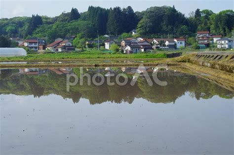 水を張った田んぼ 水鏡 No 2446836｜写真素材なら「写真ac」無料（フリー）ダウンロードok