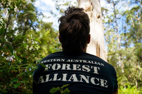 Volunteer Co Work For Forests Volunteer With Wafa Perth City Farm